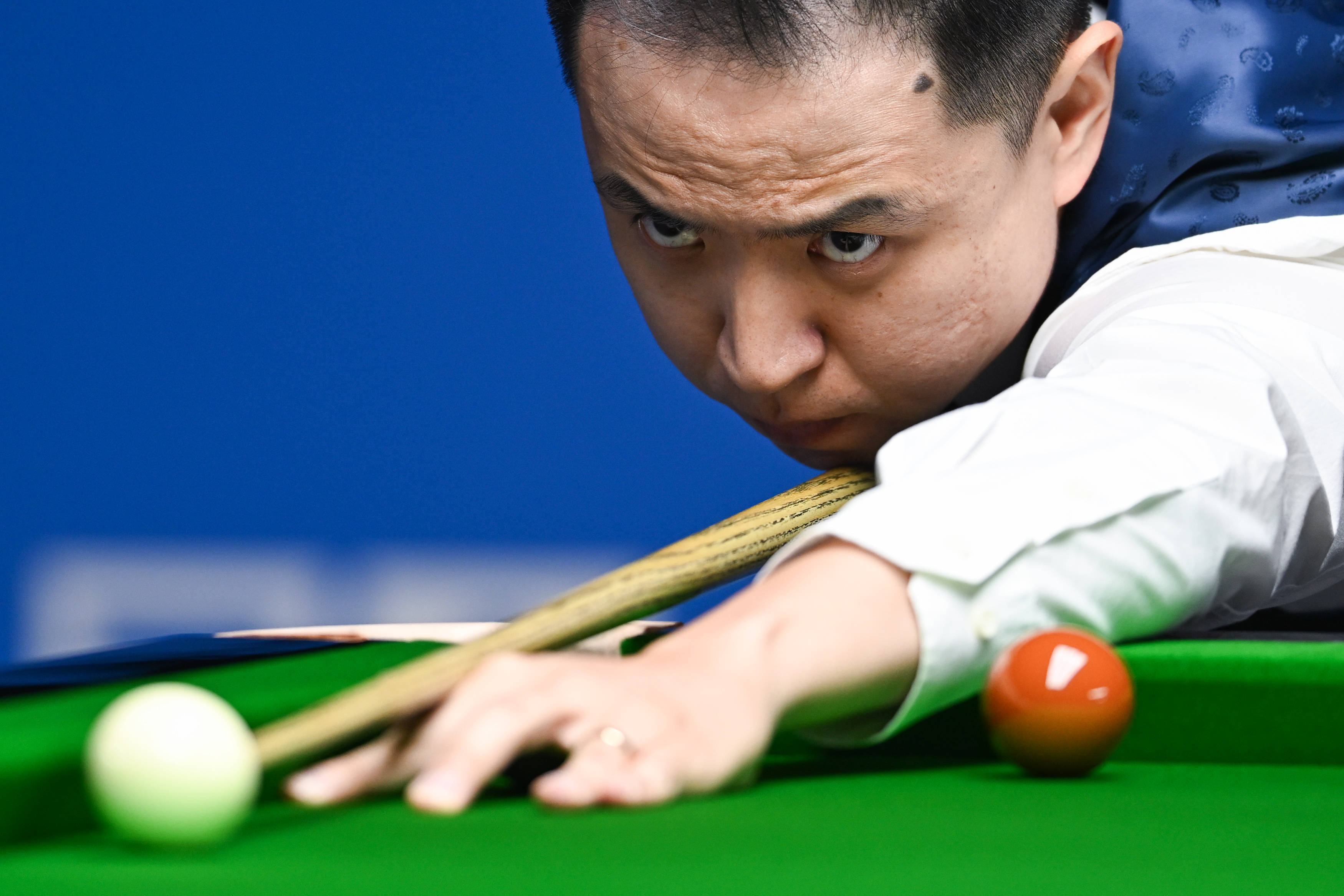 的活动范围 的活动范围