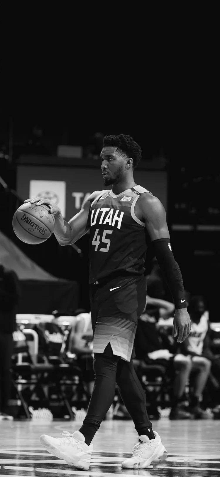 远道而来的 远道而来的